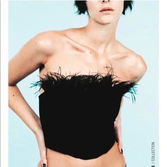ZARA FEATHER CORSET TOP - Picture 1 of 6